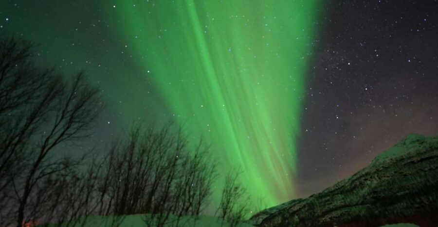 Tromsø: Northern Lights Minibus Small Private Tour Group - Why This Minibus Tour Works in Tromsø