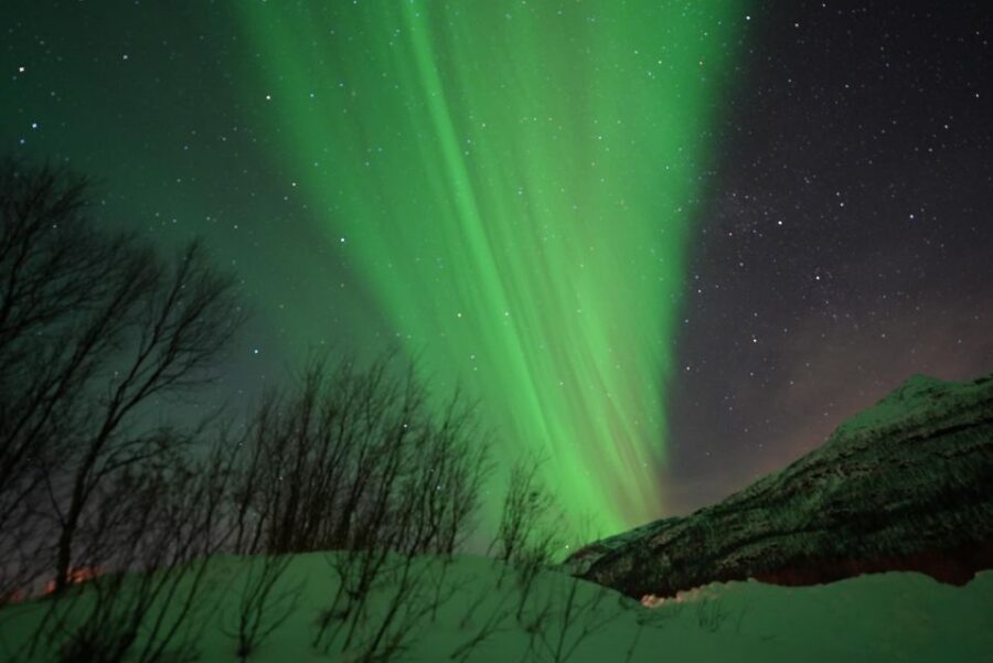 Tromsø: Northern Lights Minibus Small Private Tour Group - The 6-Hour Hunt Plan (and Why It Can Run Late)