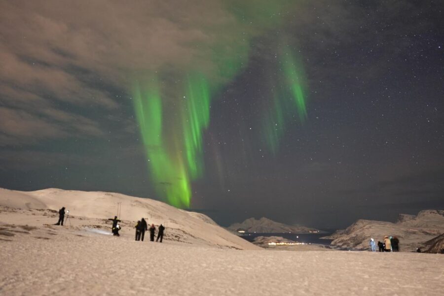 Tromsø: Northern Lights Minibus Small Private Tour Group - Stops Along the Way: Coffee, Fjords, and a Shot at Wildlife