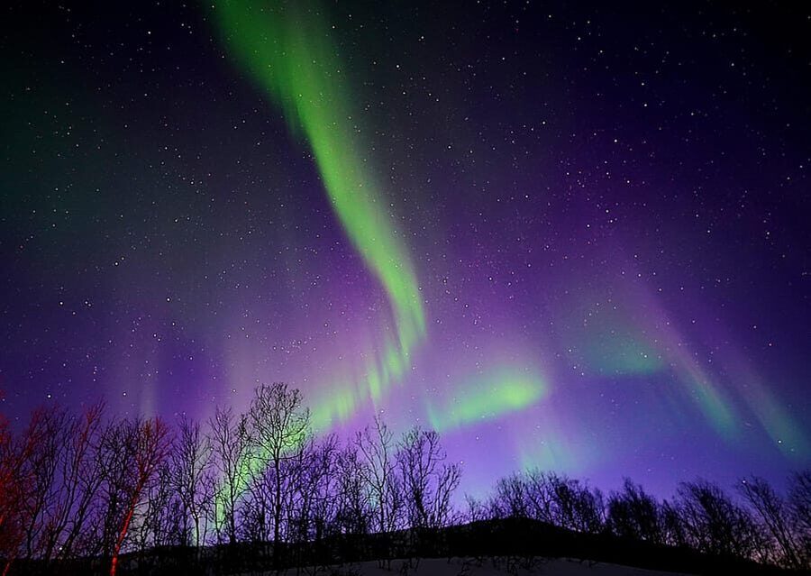 Tromso: Northern Lights Minibus Tour with Campfire - Tromsø Meets Finland: How This Minibus Aurora Chase Really Works