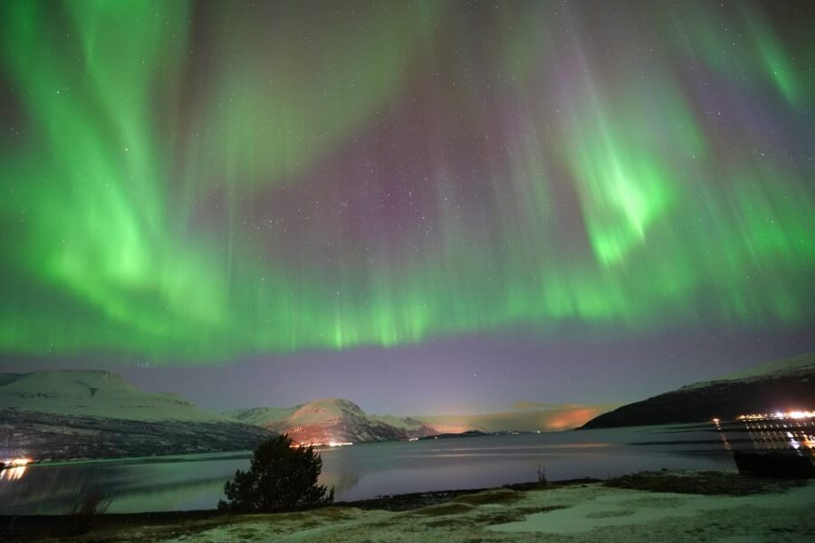 Tromso: Northern Lights Minibus Tour with Campfire - Where You Start: Meeting Point and Timing for a Long Winter Night