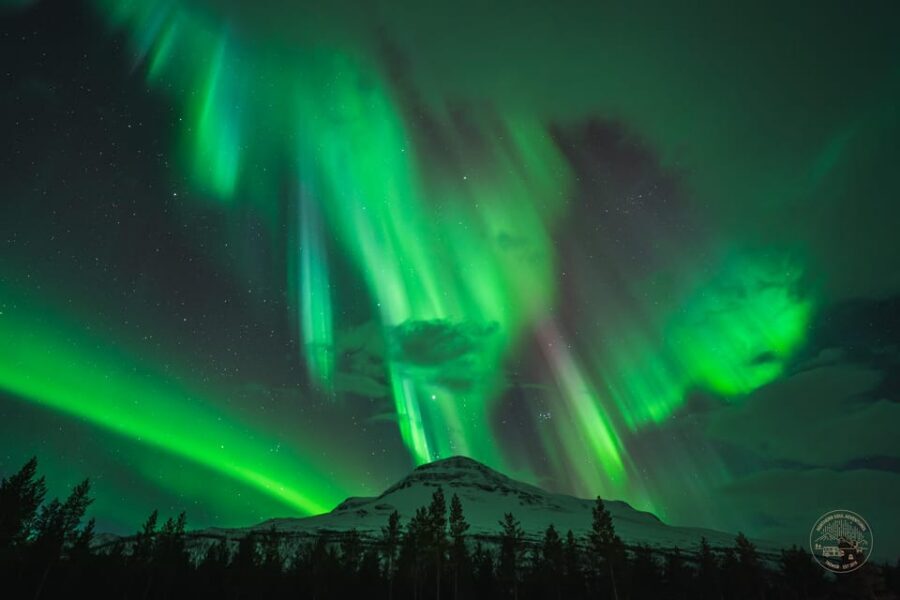 Tromsø: Northern Lights Photography Small-Group Tour - Meeting at Tromsø Havn and the Real Start Time for Aurora Chasing