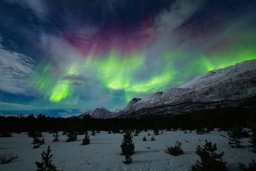 Tromsø: Northern Lights Photography Tour - Small-group vibe: smoother, quieter, and easier to help