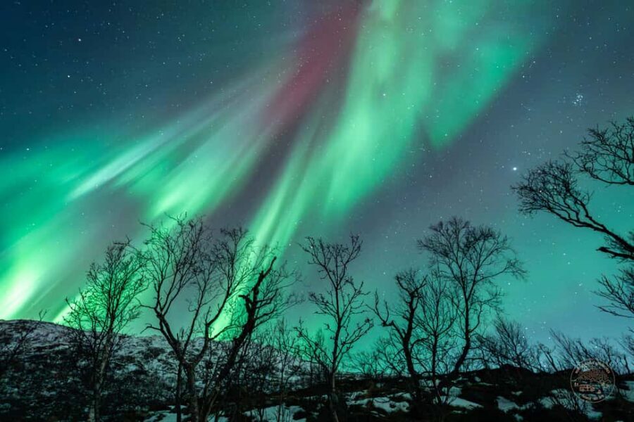 Tromsø: Northern Lights Photography Tour - Practical tips before you go (so you don’t waste your night)
