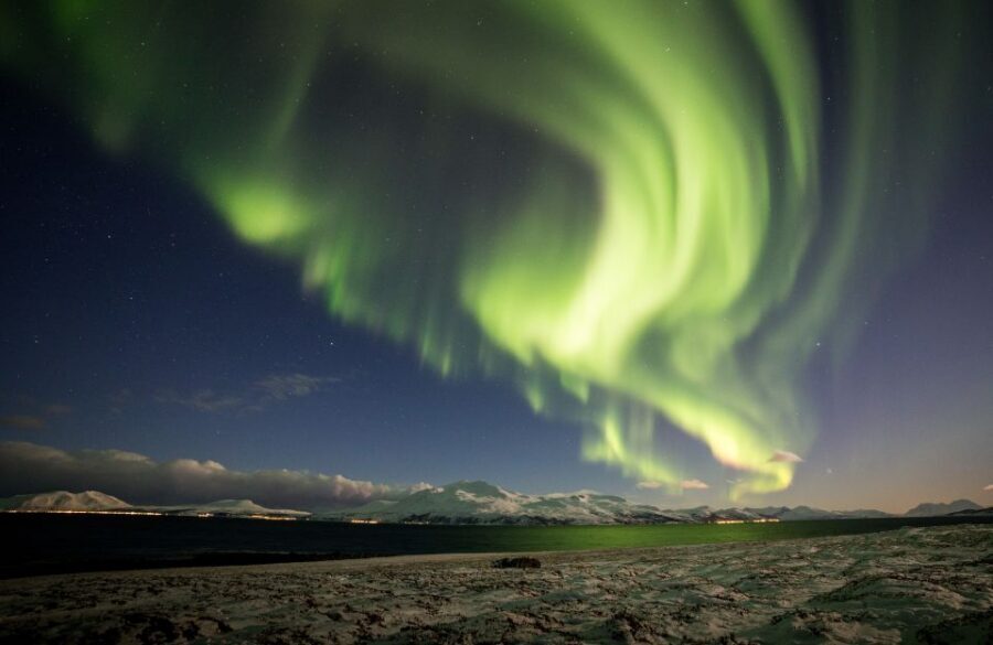 Tromso: Northern Lights Photography Tour by Bus (or miniBus) - Price and value: $181 for transport, coaching, and real odds