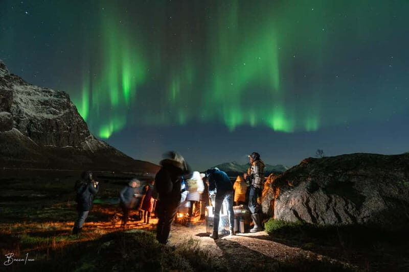 Tromsø: Northern Lights Safari - Key highlights at a glance