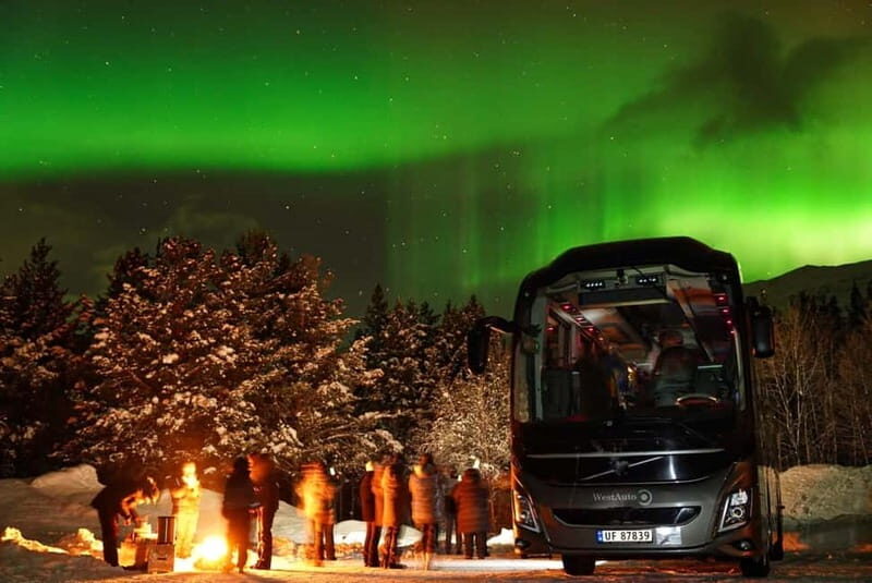 Tromsø: Northern Lights Safari - Professional photos, but plan for your own gear limits