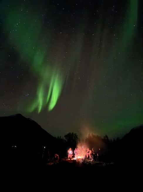 Tromsø: Northern Lights Tour - Practical Details That Matter on the Ground