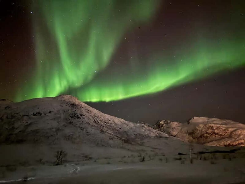 Tromsø: Northern Lights Tour - The Auroral Waiting Game: Bonfire, Hot Drinks, and Food That Helps