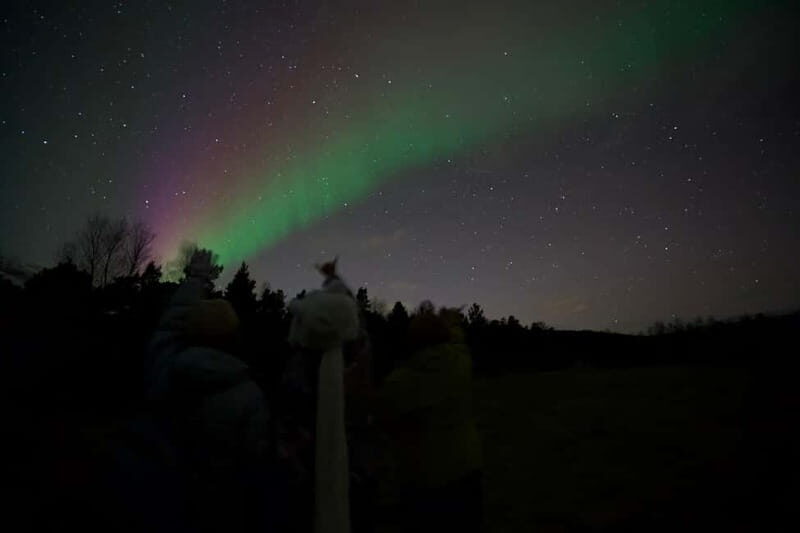 Tromsø: Northern Lights Tour - What It Feels Like When the Guide Finds the Right Spot