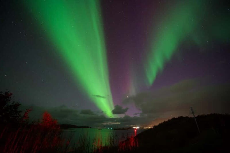 Tromsø: Northern Lights Tour - Price and Value: Is $206 a Good Deal in Tromsø?