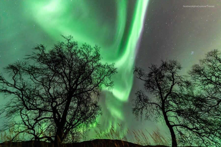 Tromsø: Northern Lights Tour w/Photo, Suits and Local Guide - Timing: a 6-hour tour that sometimes runs late