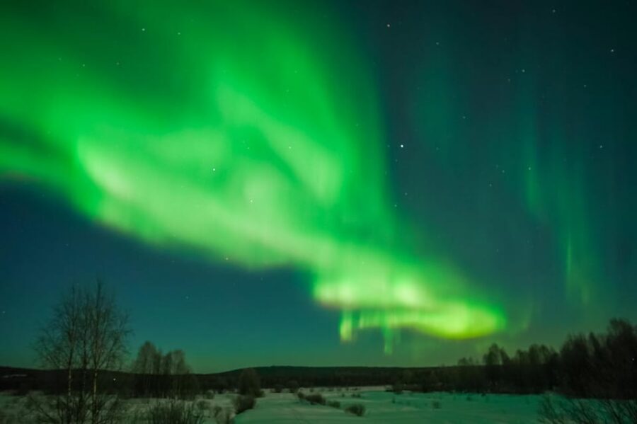 Tromsø: Northern Lights Tour with Guaranteed Sightings - Photo support: pro shots plus help you can’t DIY in the cold