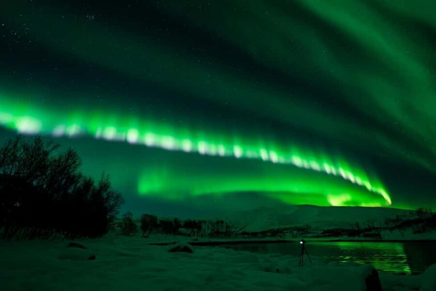 Tromsø: Northern Lights Tour with Guaranteed Sightings - Price and value: why $274 can make sense for a better shot