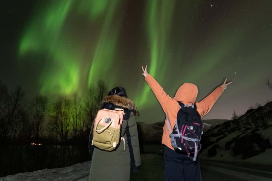 Tromsø: Northern Lights tour with local experts - Who the tour is best for (and who should look elsewhere)