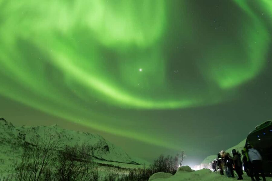 Tromsø: Northern Lights tour with local experts - Price and included comfort: what $195 really buys you