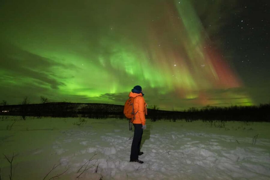 Tromsø: Northern Lights tour with local experts - Where you meet in Tromsø and how to dress for the cold