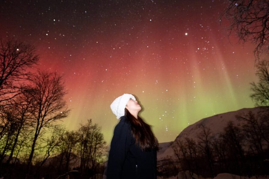 Tromsø: Northern Lights Tour with Local Guide and Photos - The aurora talk: science without the snooze