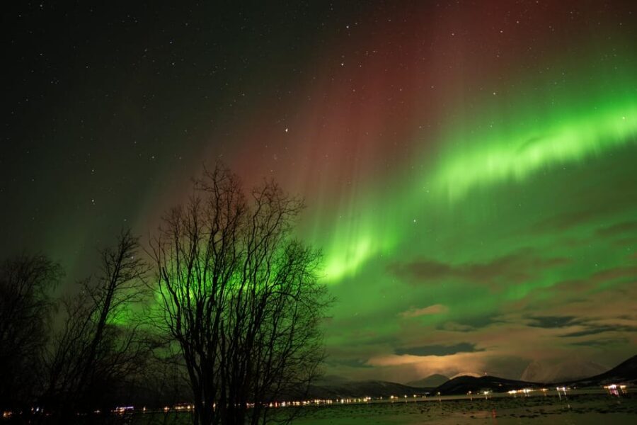Tromsø: Northern Lights Tour with Local Guide and Photos - Price and value at $162 per person