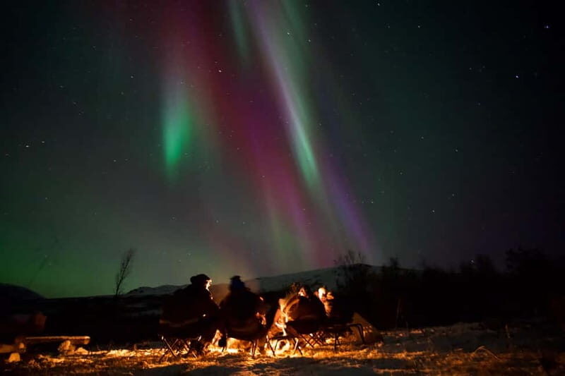 Tromsø: Northern Lights Tour - Starting at Scandic Ishavshotel: Your Night Begins in the City