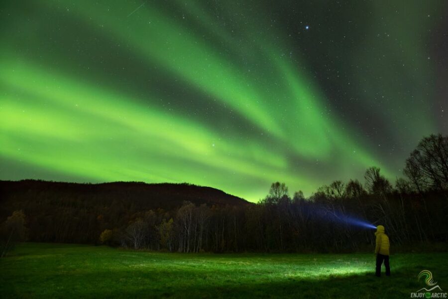 Tromsø: Northern Lights Trip with Campfire and Snacks - From Magic Ice Bar to Aurora Country: how the night starts