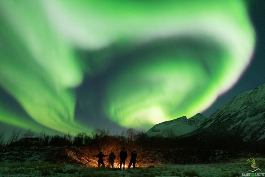 Tromsø: Northern Lights Trip with Campfire and Snacks - Campfire comfort with crispbread and carrot cake
