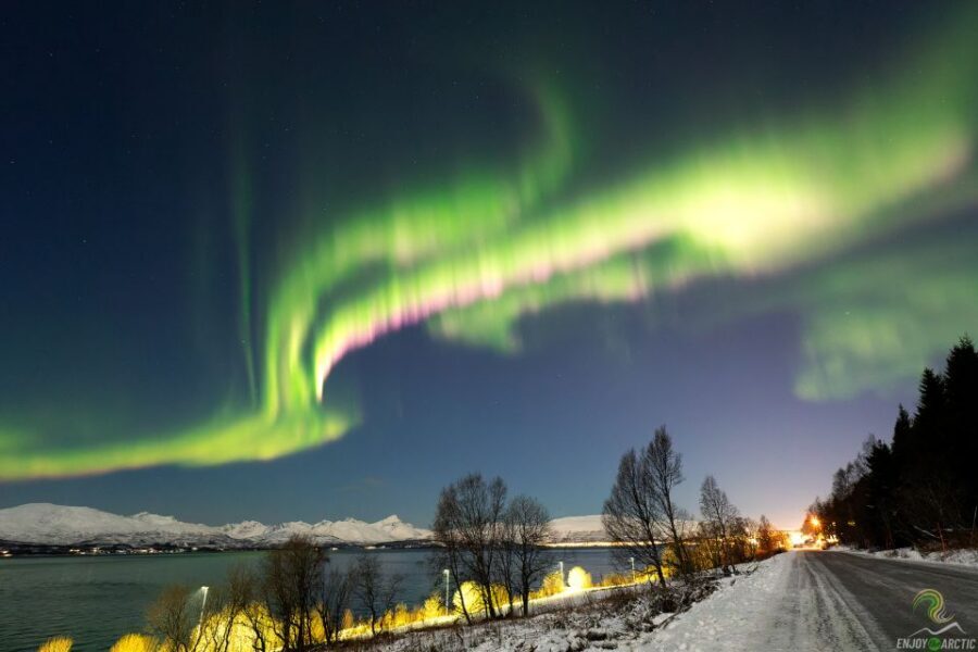 Tromsø: Northern Lights Trip with Campfire and Snacks - Northern lights photography that actually helps: tripod + camera settings