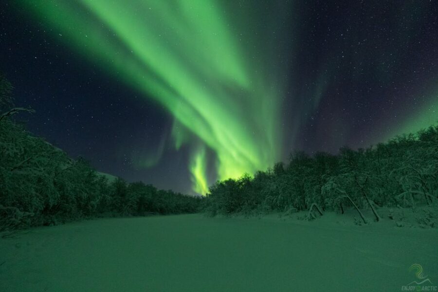 Tromsø: Northern Lights Trip with Campfire and Snacks - Who should book this Tromsø aurora campfire tour