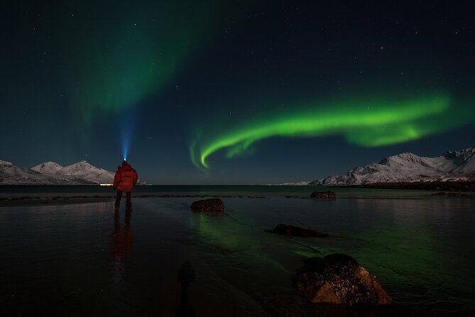 Tromsø Norway - Small Group Aurora Hunt Tour with a local guide - The 7:00 pm timing and how a small group helps