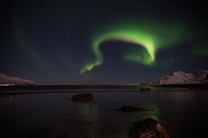 Tromsø Norway - Small Group Aurora Hunt Tour with a local guide - Warm breaks, snacks, and the comfort that matters at night