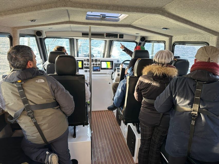 Tromsø: Orca and Whale Watching comfort heated boat Trip - Key highlights worth showing up for