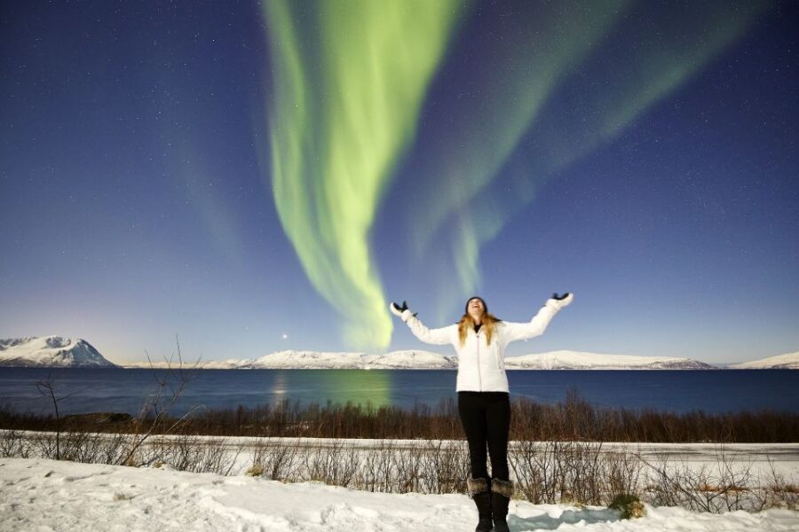 Tromsø: Private 6-Hour Aurora Chase by Minivan - Tromsø Aurora Nights Are a Game of Timing and Targets