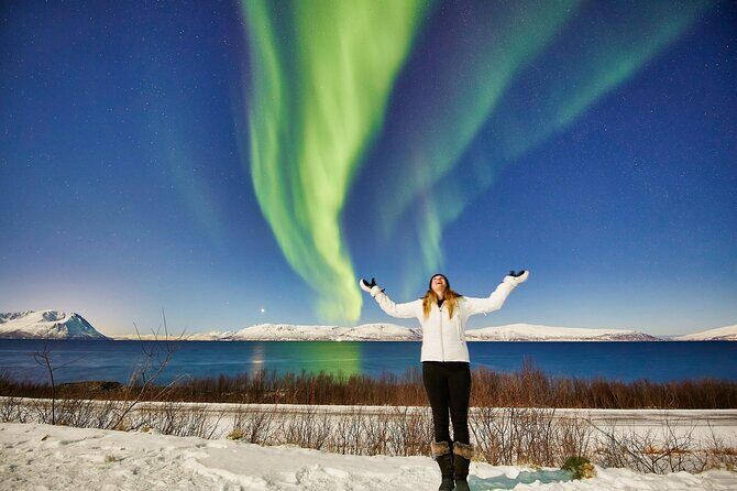 Tromso: Private Aurora Chase by Minivan - Key highlights worth planning around