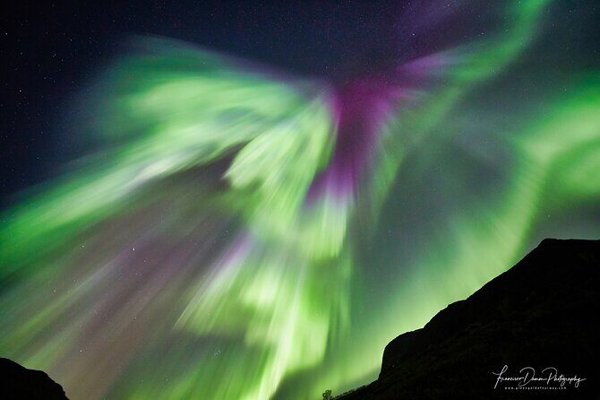 Tromso: Private Aurora Chase by Minivan - Tromsø at 7:00 pm: a private aurora plan that stays flexible