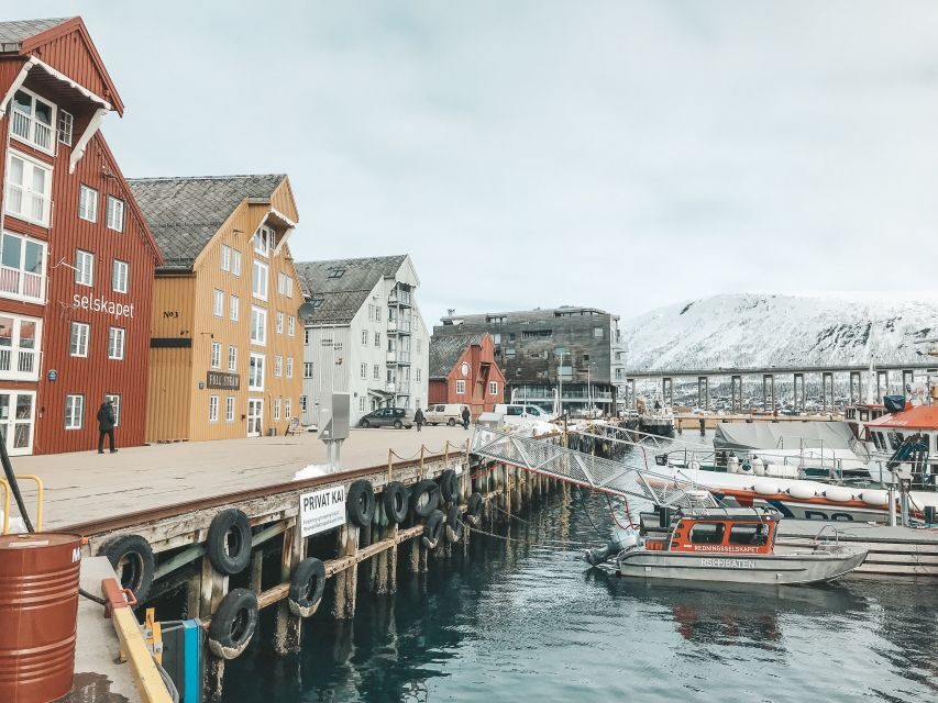 Tromsø: Private City Tour - What the 2–3 hour walking tour actually delivers