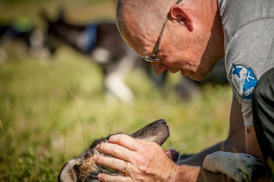 Tromsø: Puppy Training at the Husky Kennel with Lunch - Key points before you go