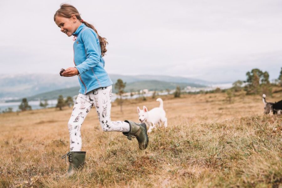 Tromsø: Puppy Training at the Husky Kennel with Lunch - What to bring, and what to expect when it’s wet and cold