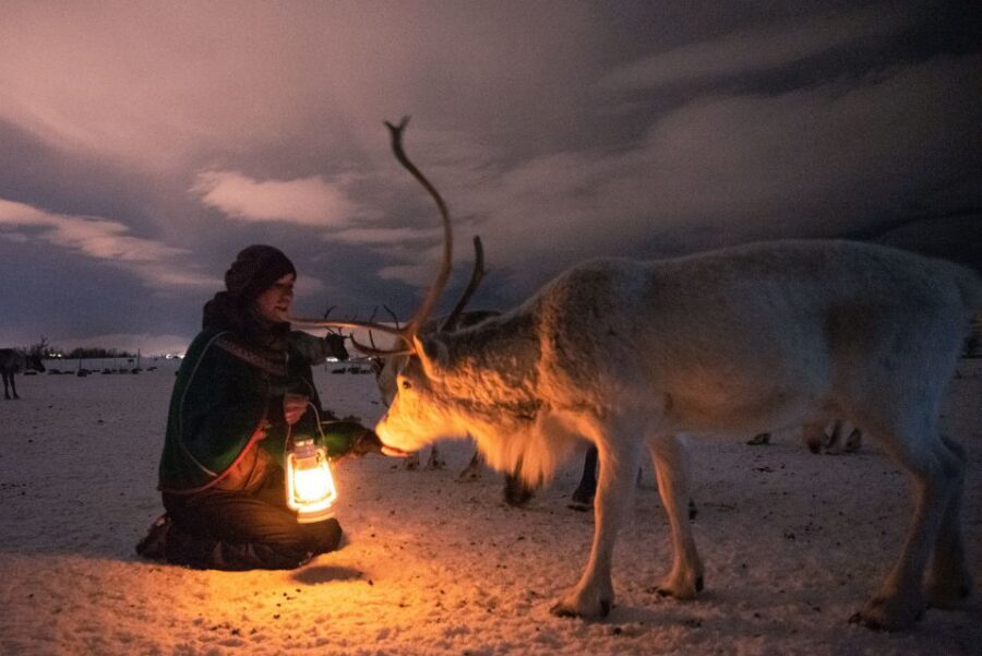 Tromsø: Reindeer Camp Dinner with Chance of Northern Lights - Returning to Tromsø: Another Short Bus Ride, Same Cozy Ending
