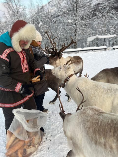Tromsø: Reindeer Experience at a Sami Camp - Lasso throwing on antlers: fun try, but don’t count on perfect timing