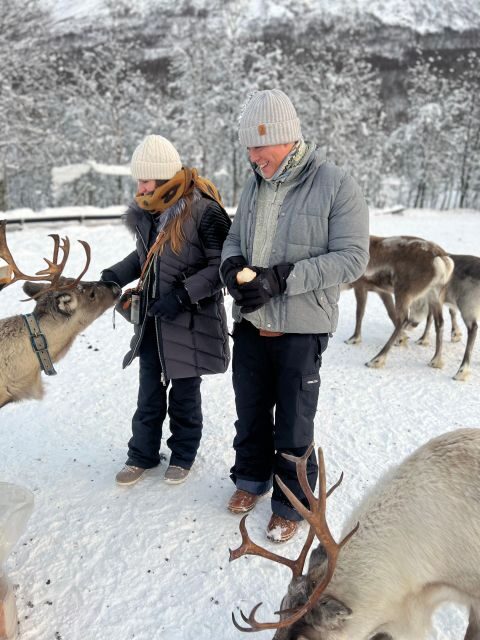 Tromsø: Reindeer Experience at a Sami Camp - Meeting the Sami family: stories by the fire (and what makes it real)