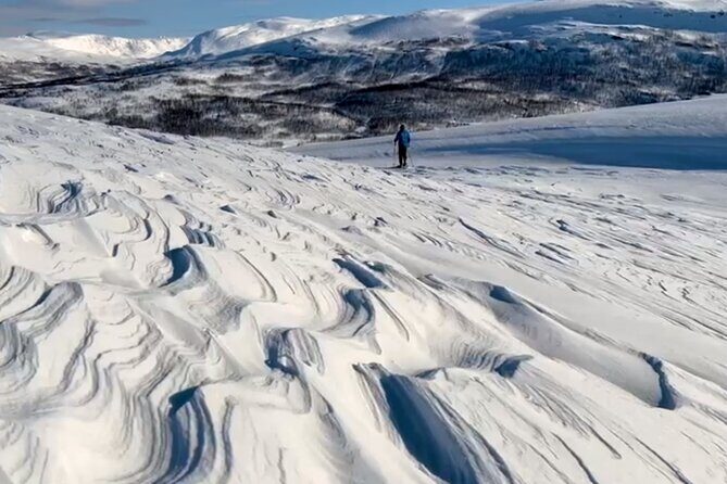Tromso: Reindeer Feeding and Snowshoeing Tour with Lunch - Key highlights worth your attention