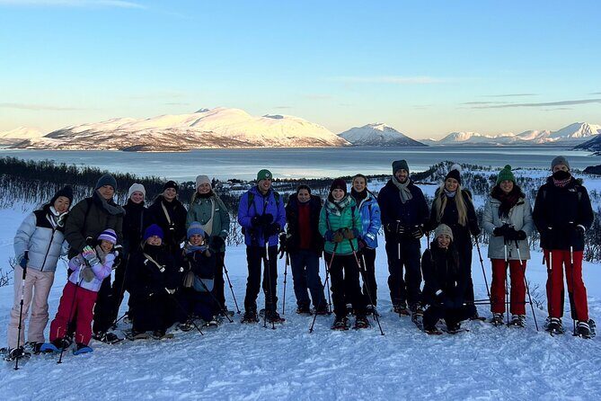 Tromso: Reindeer Feeding and Snowshoeing Tour with Lunch - A 4-hour winter plan that actually feels complete