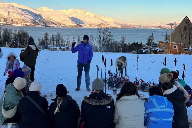 Tromso: Reindeer Feeding and Snowshoeing Tour with Lunch - Snowshoeing 1–1.5 hours: beginner friendly, still real outdoors