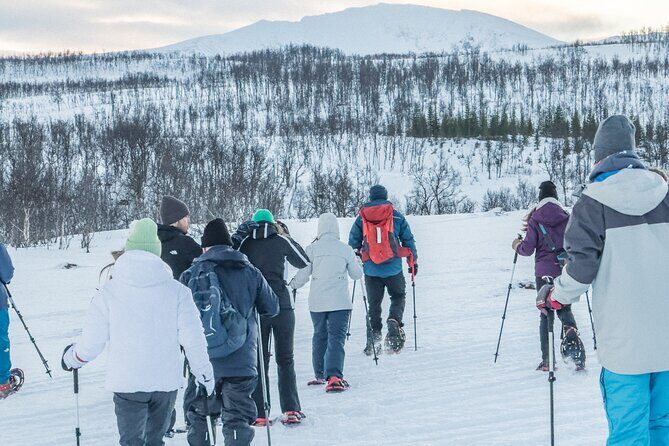 Tromso: Reindeer Feeding and Snowshoeing Tour with Lunch - What the schedule looks like in real life