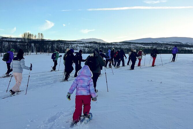Tromso: Reindeer Feeding and Snowshoeing Tour with Lunch - Reindeer time in Tromsø: calm, close, and unhurried