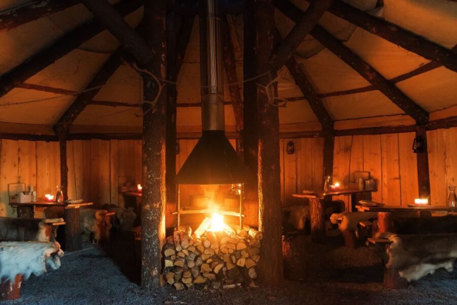 Tromsø: Reindeer Sled, Dinner, and Chance of Northern Lights - Feeding 300 reindeer by hand: the moment you’ll remember