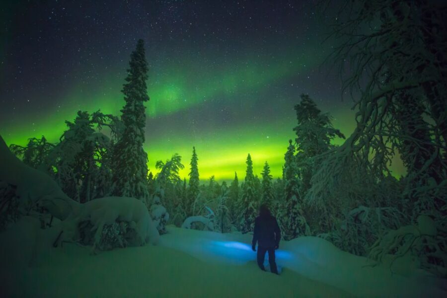 Tromsø: Reindeer Sled, Dinner, and Chance of Northern Lights - Sami warmth and a three-course dinner: bidos, open fire, and real comfort