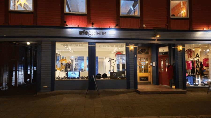 Tromsø: Reveal Your Eye Experience at the Iris Galerie - The timing fits Arctic itineraries