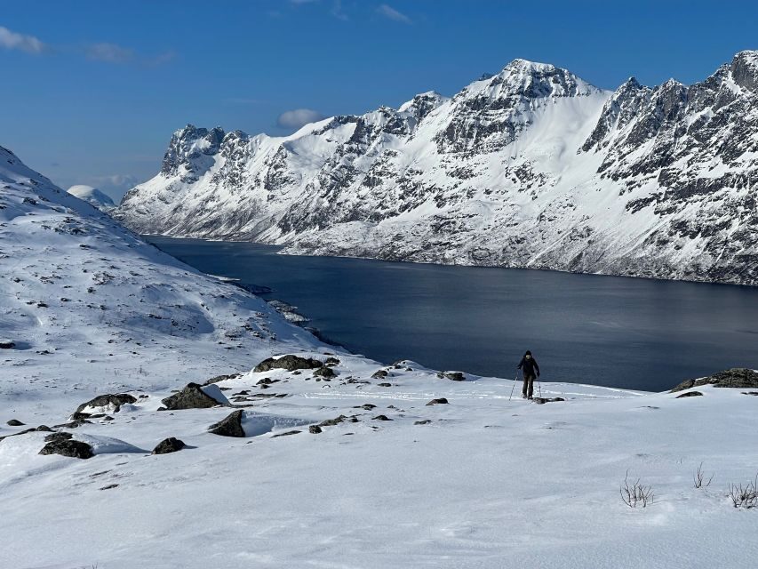 Tromso: Scenic & Eco-Friendly Snowshoeing Tour - What the Group Size Really Changes (Small vs. Big Tours)
