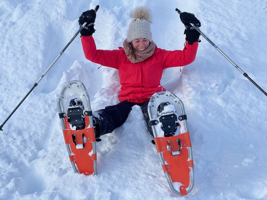 Tromso: Scenic & Eco-Friendly Snowshoeing Tour - Tromsø Pickup and the Fjord Drive to Kvaløya